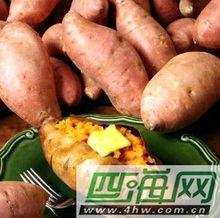 月子期间土瓜可以吃吗,月子期间适宜食用土瓜的探讨